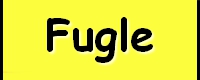 fugle