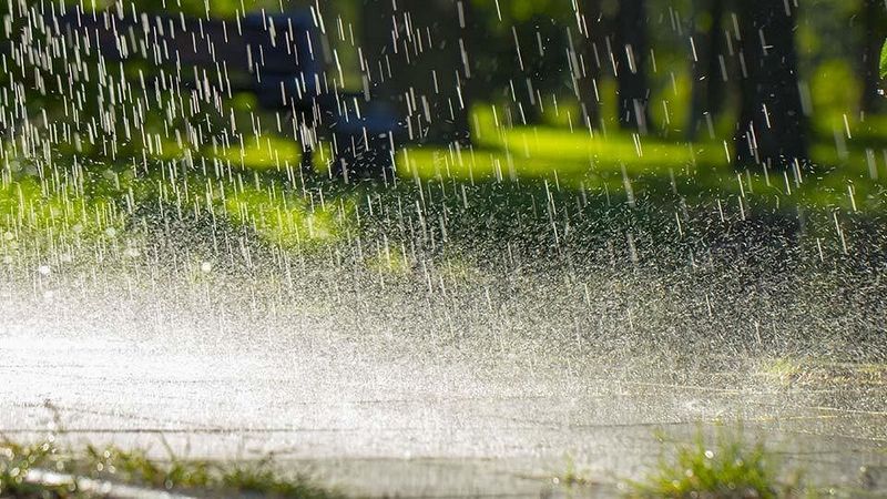 regn og udvaskning af kvælstof og fosfor