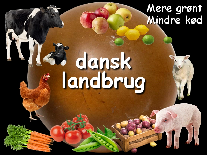 dansk landbrug - mere grønt - mindre kød