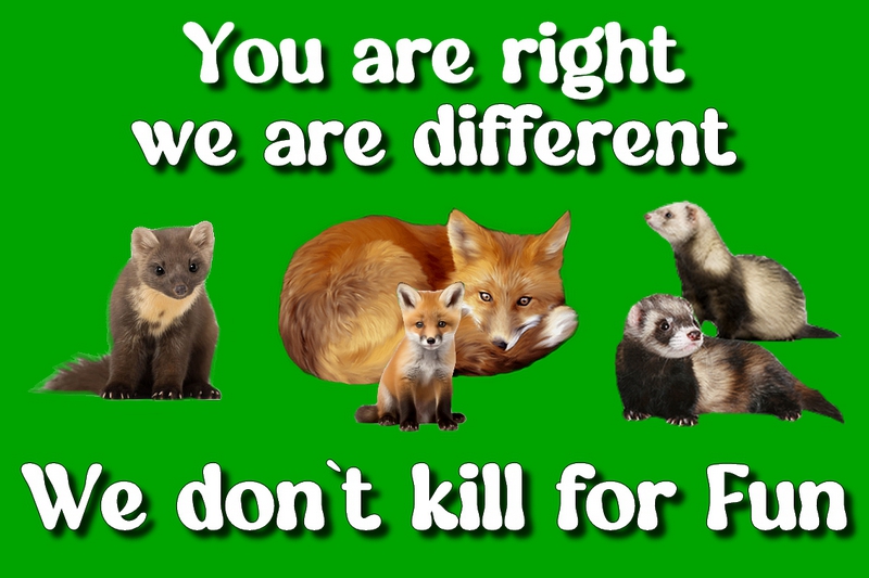 yes - you are right we are different - we don`t kill for fun