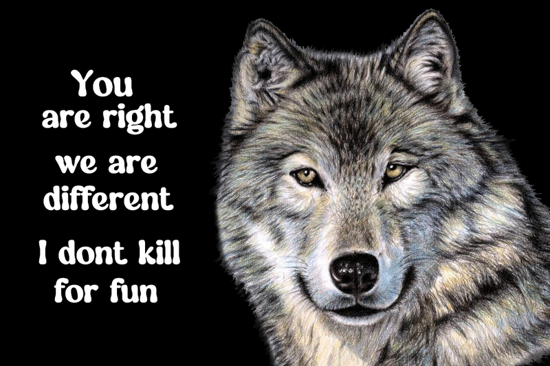 Yes - you are right - I dont kill for fun