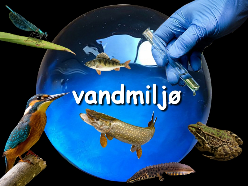 vandmiljø